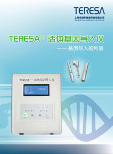 信息技術咨詢 數字化轉型的關鍵伙伴